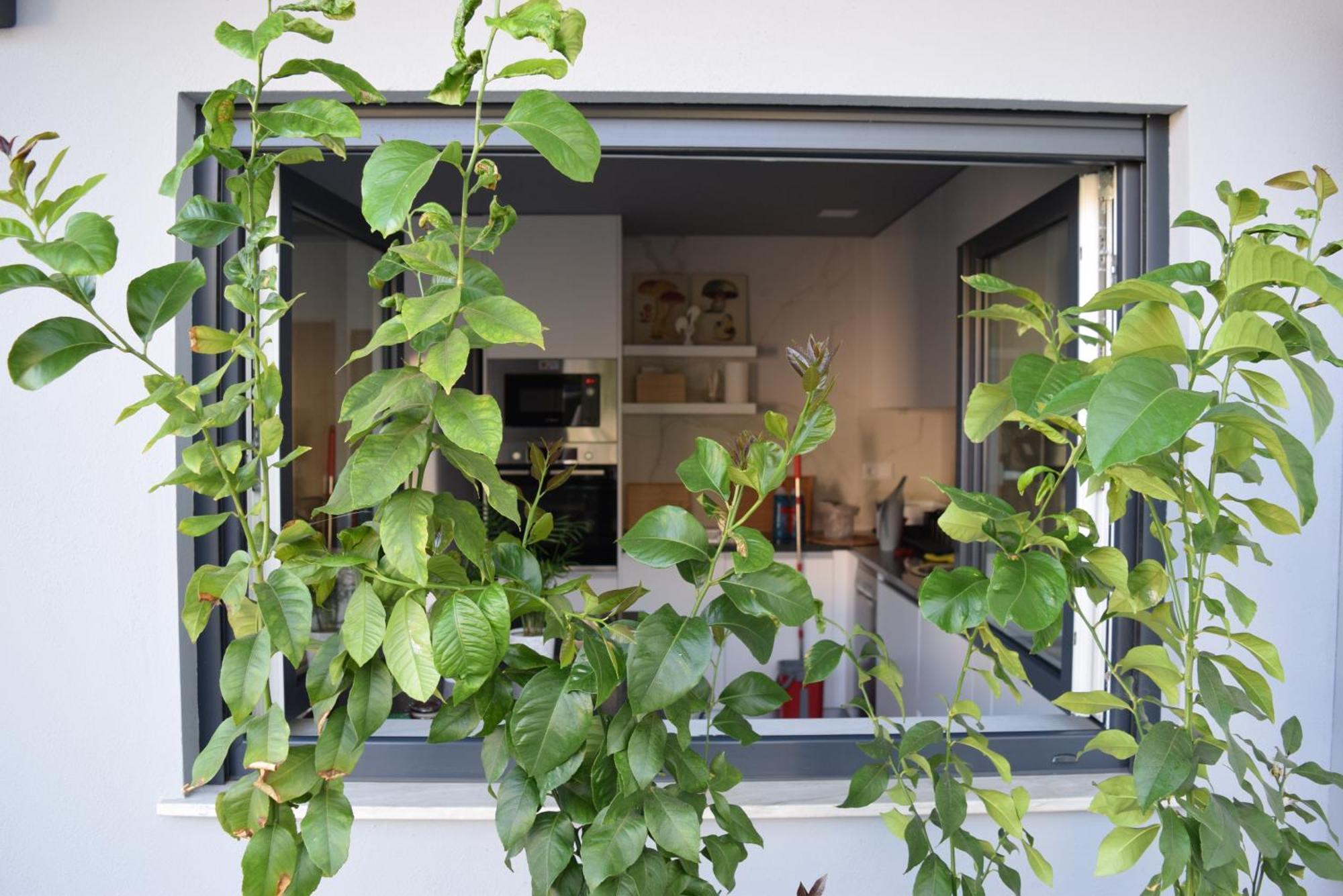 Saint Victor House Villa Braga Ngoại thất bức ảnh